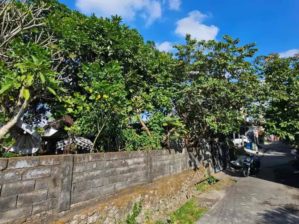 Dijual lahan luasan kecil view sawah Padonan
