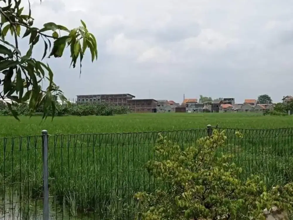 Tanah Siap Bangun Perumahan di Waru - Sidoarjo Depan Terminal Bungurasih, Zona Pemukiman Siap Bangun