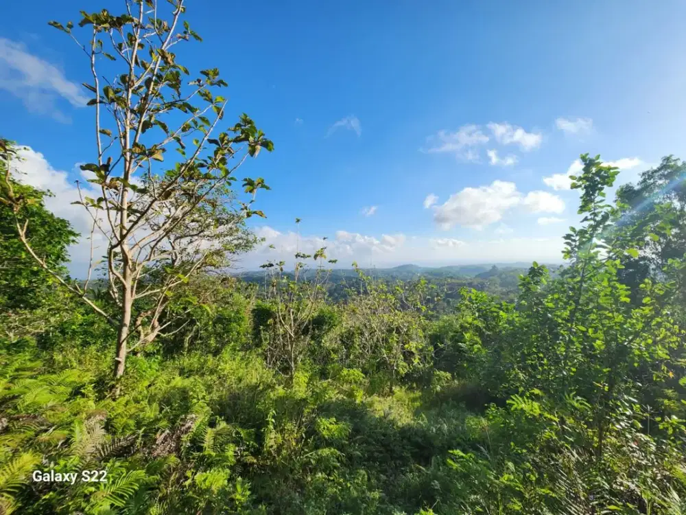 Tanah di Desa Klumpu Nusa Penida – LT 13.700 m², View Laut & Gunung Agung, Cocok untuk Villa, Resort & Glamping