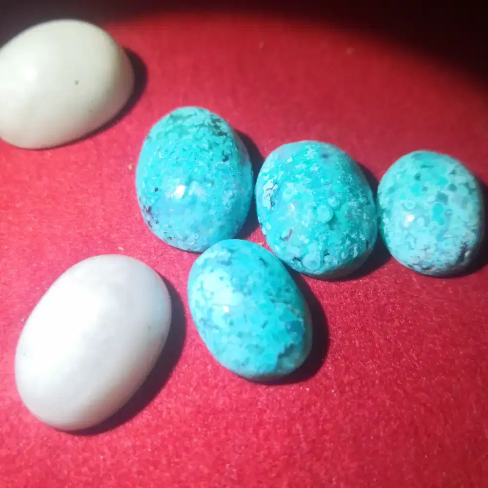 Lostun bacan palamea size kantoran