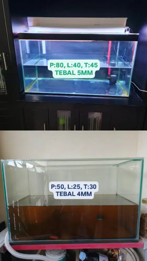 Dijual Aquarium Ikan