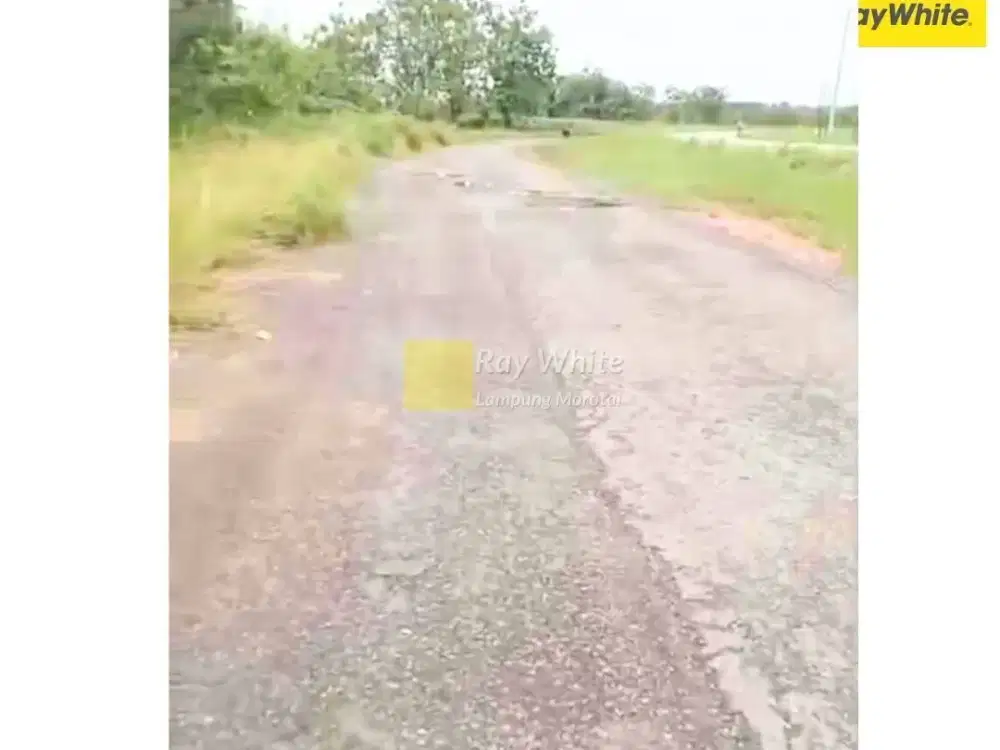 Dijual Tanah DI Jati Agung, LAmpung Selatan (Kode : ALN 3697)