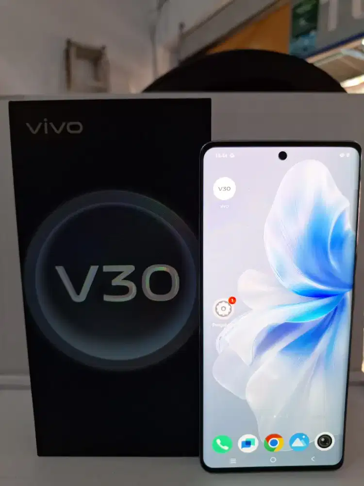 HP VIVO V30 8 / 256 GB