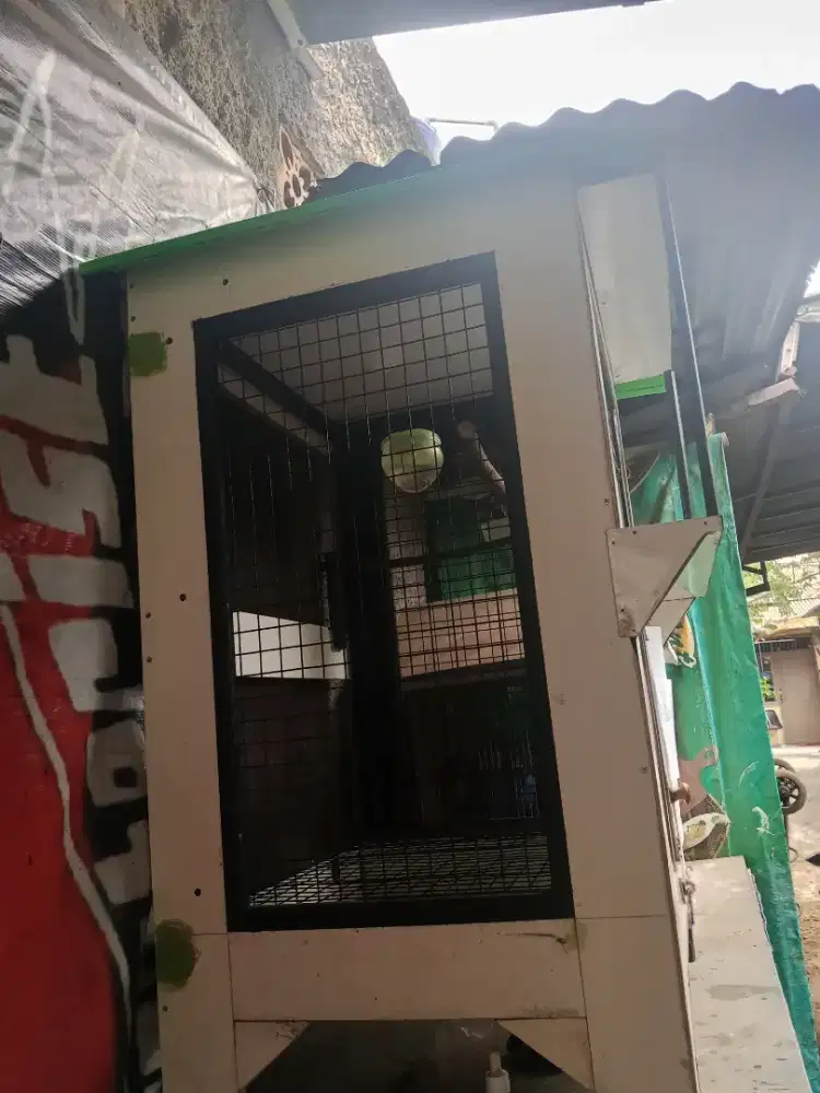 Kandang burung hias kondisi nomines