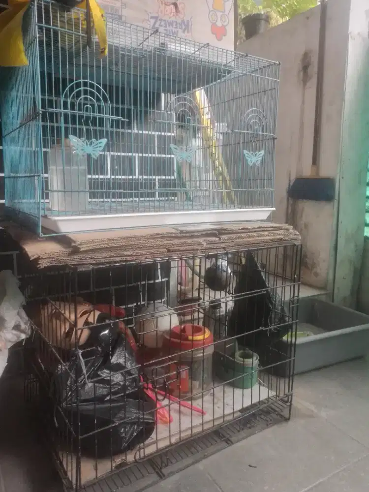 KANDANG SERBAGUNA UKURAN JUMBO