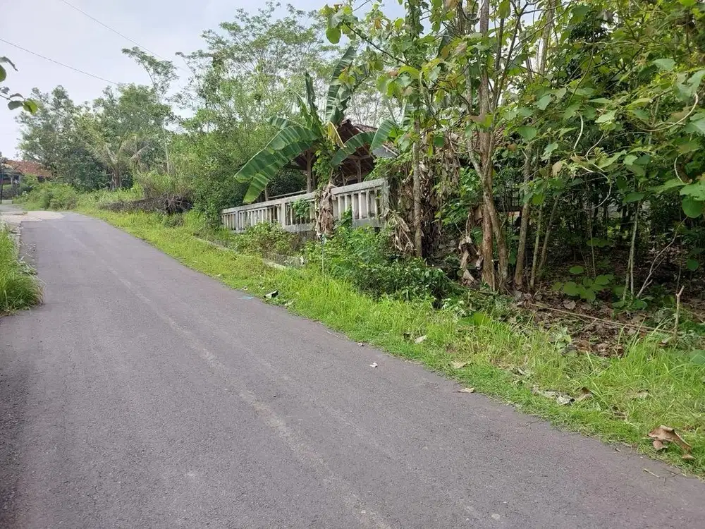 Dijual Tanah Murah Sleman DIY