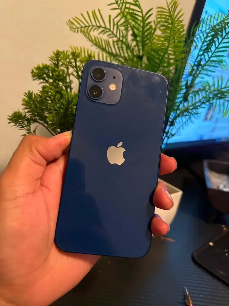 IPhone 12 64 GB All Operator