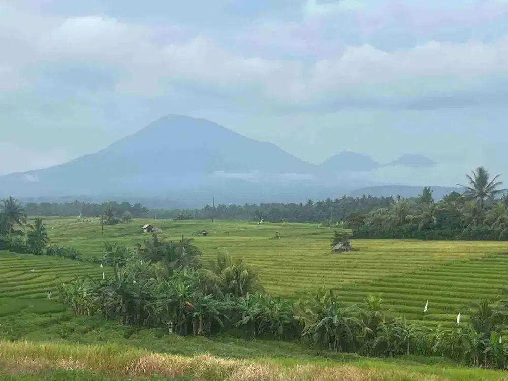 jual tanah view sawah dan gunung di tabanan bali.