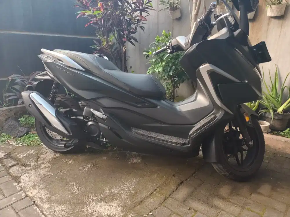 FS Honda Forza istimewa(nego)