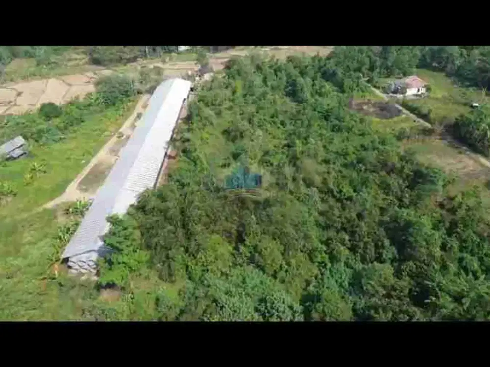 *DIJUAL* Tanah di jl ds Cilaku - Tenjo, Bogor