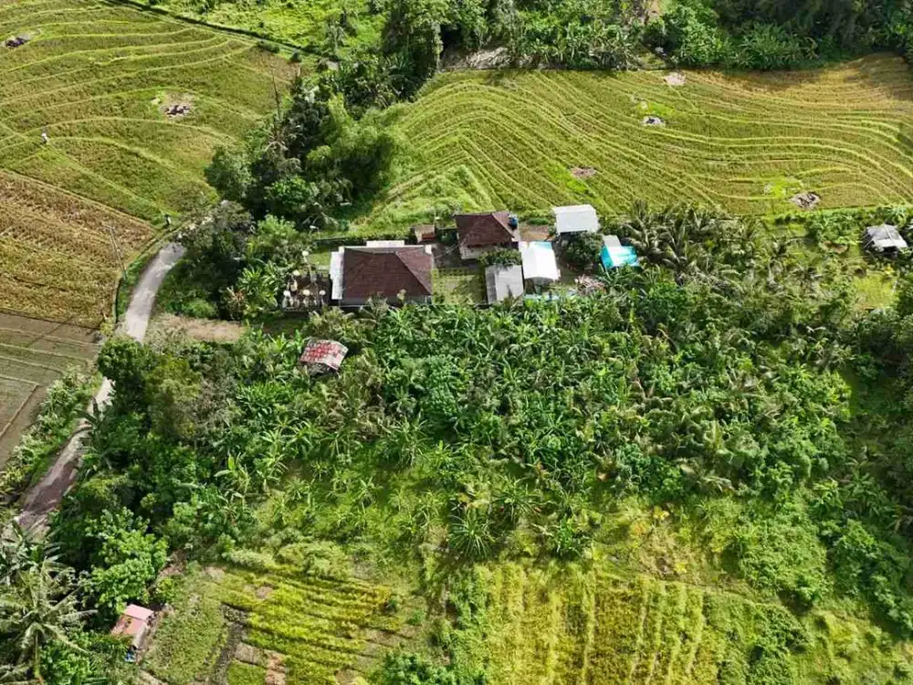 jual tanah view laut,sawah,gunung, dekat kota tabanan, contour datar