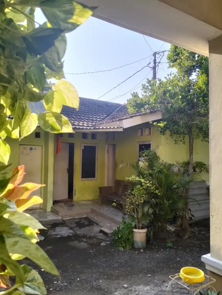 Kost putra murah adem 50m dari jl. Majapahit Semarang