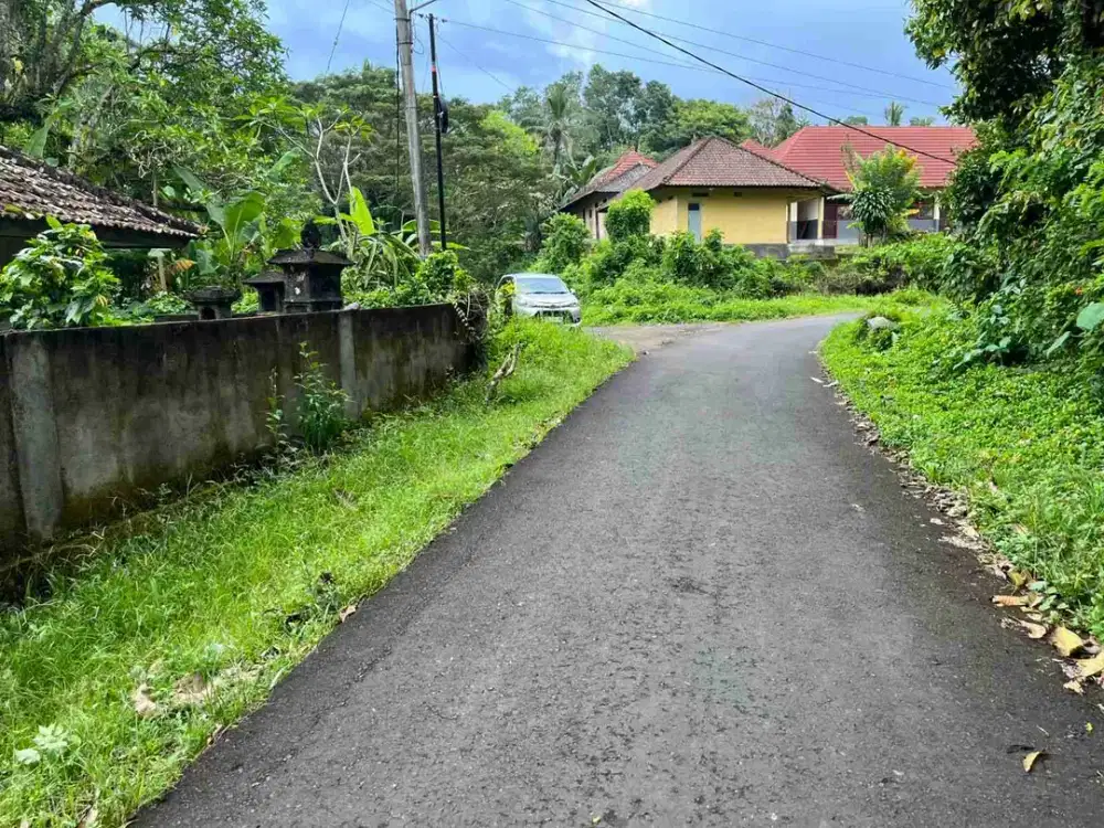 jual tanah Luas 9 are isi bangunan Los sungai di penebel tabanan bali.