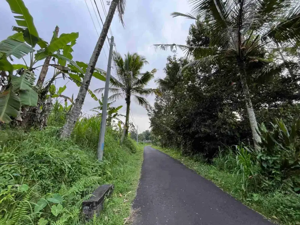 jual tanah view sawah pinggir jalan utama penebel, tabanan bali.