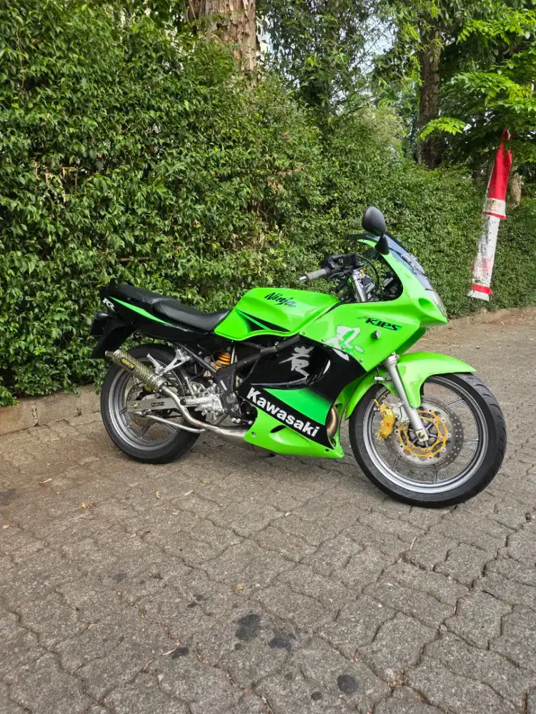 Ninja rr old se