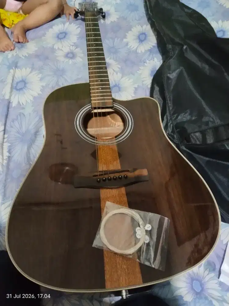 Gitar dlux transkustik DW 210G