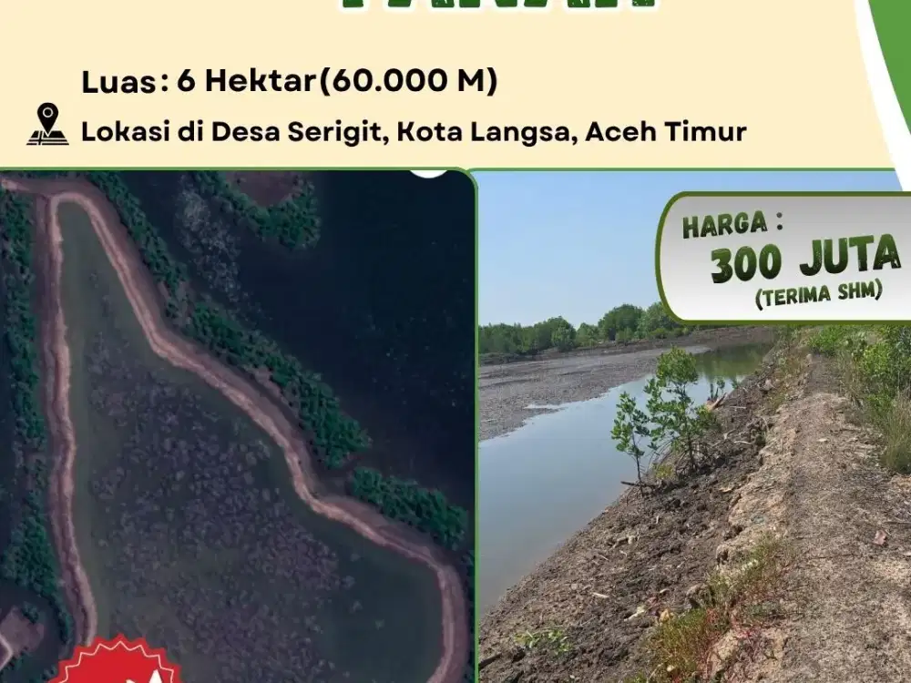 Dijual Tambak Ikan & Udang 6 Hektar SHM di Kota Langsa | Harga Rp300 Juta | Siap Investasi