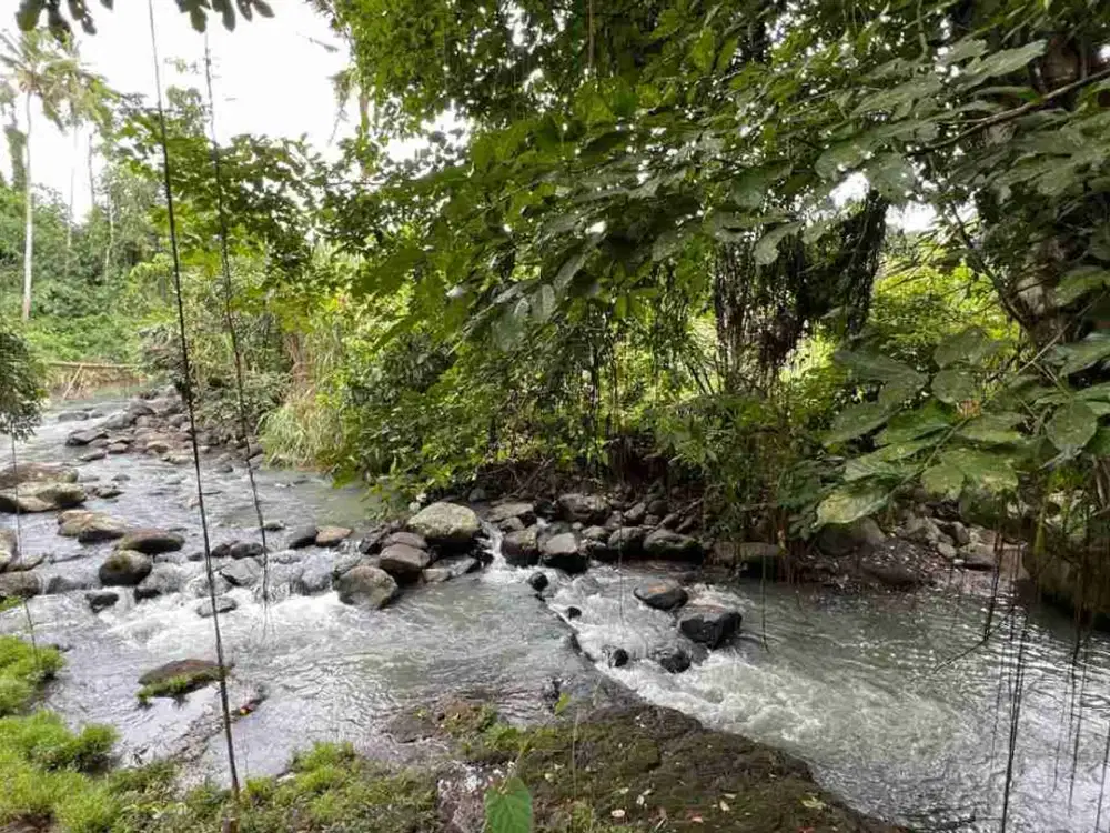jual tanah kebun aneka buah lokal Los sungai besar di penebel tabanan bali.