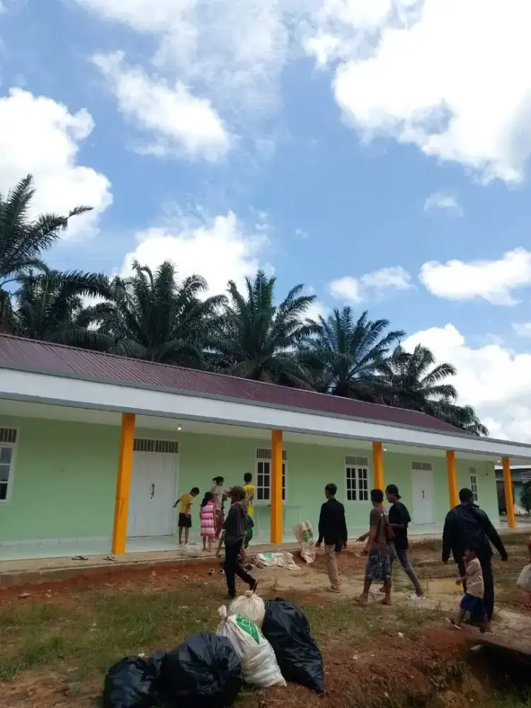 Lowongan kerja panen dan perawatan kelapa sawit