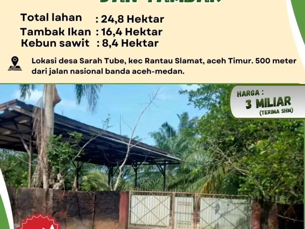 Lahan Kebun Sawit & Tambak | Legalitas SHM | Cocok untuk Investor