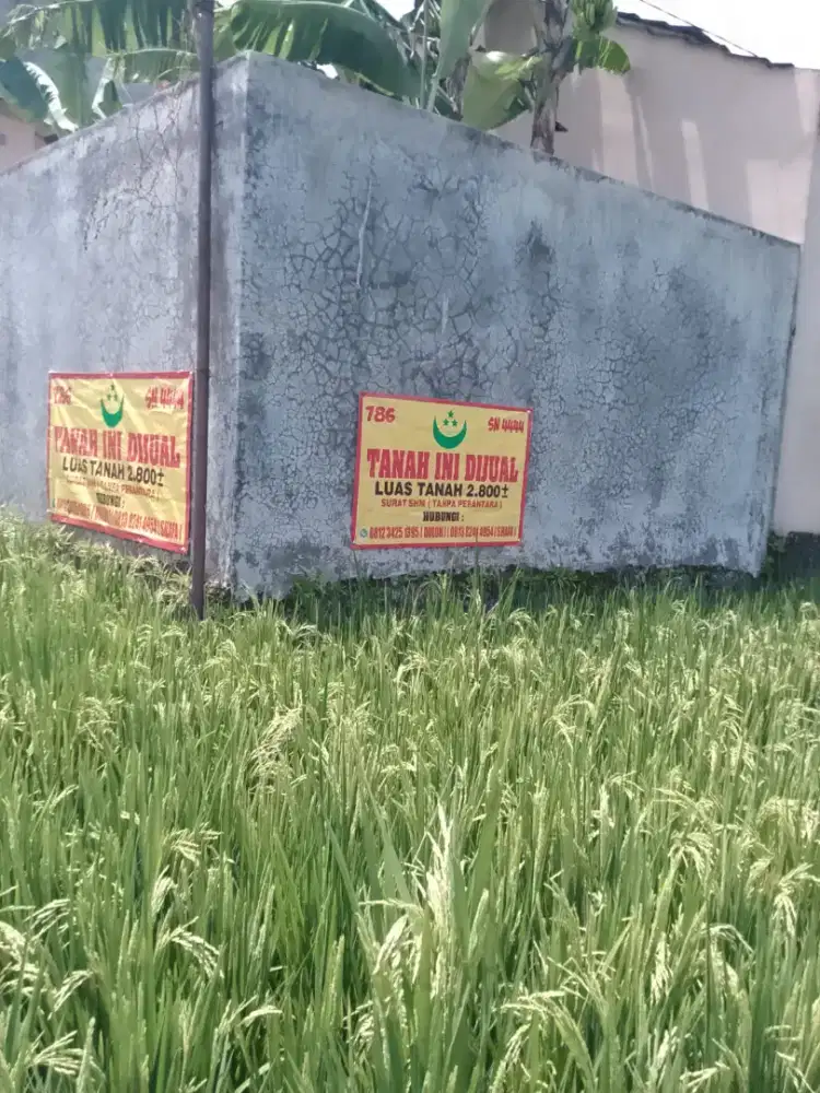 DIJUAL TANAH SAWAH