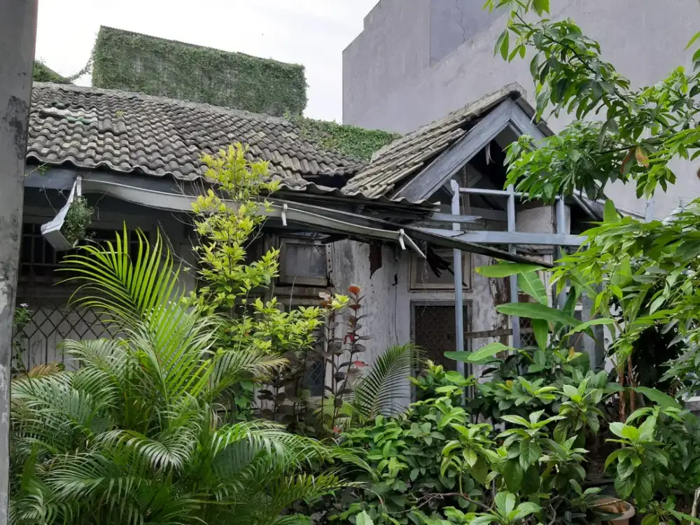 hunian cluster hadap timur dan clubhouse, bentuk tanah  besar belakang