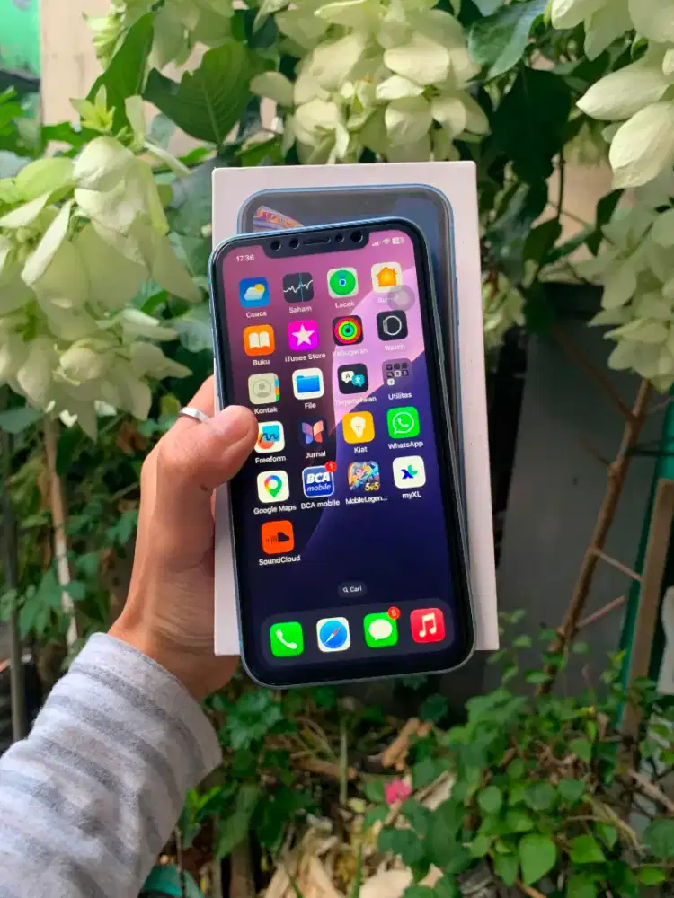 iPhone Xr 64GB blue