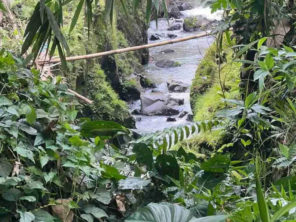 jual tanah Luas kecil dekat pantai harga termurah di tabanan bali.