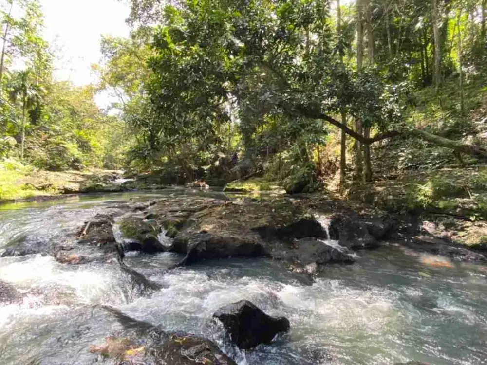 jual tanah Los sungai cantik luasan kecil di tabanan bali.