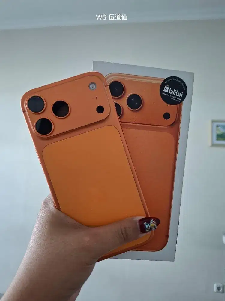 Iphone 17 Pro Max