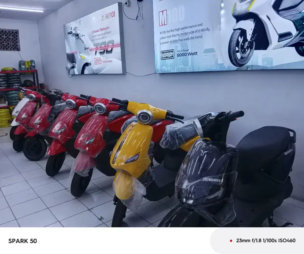 sepeda listrik D66i