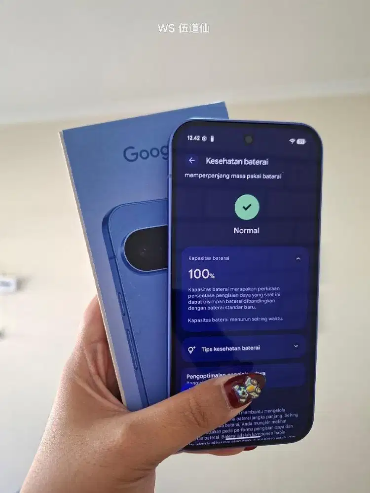 Pixel 10 beacukai resmi