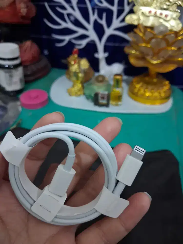 Kabel charge iphone
Kabel warna putih
Limited edition
Barang terawat