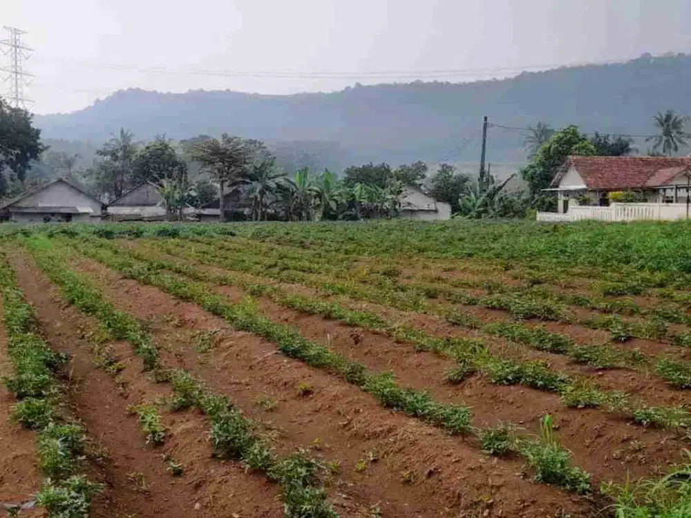 Tanah Komersial di Jalan Kabupaten-Bogor