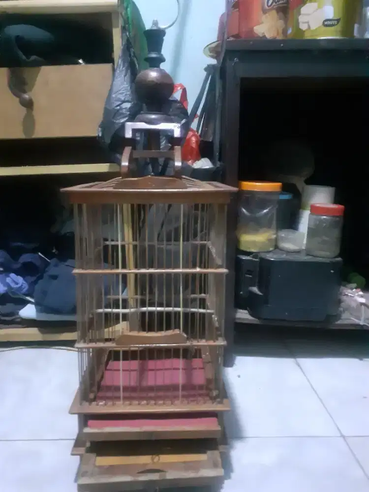 Kandang burcil masih OK di BSD