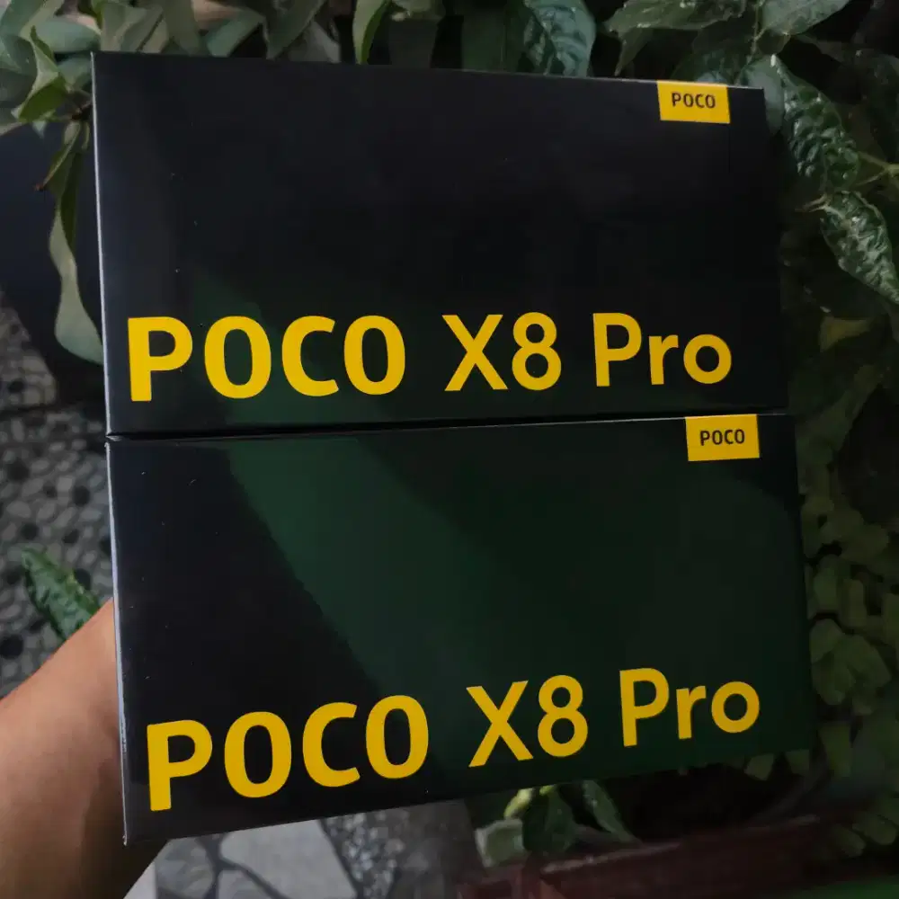 Poco X8 Pro 12/512