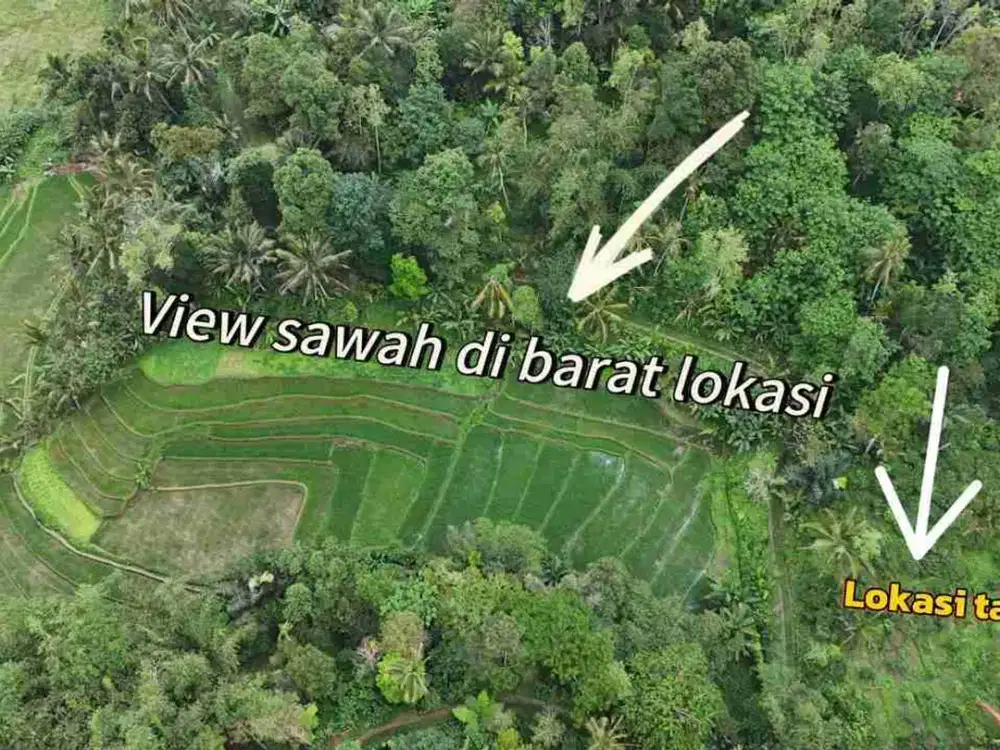 jual tanah view bagus di jatiluwih tabanan bali