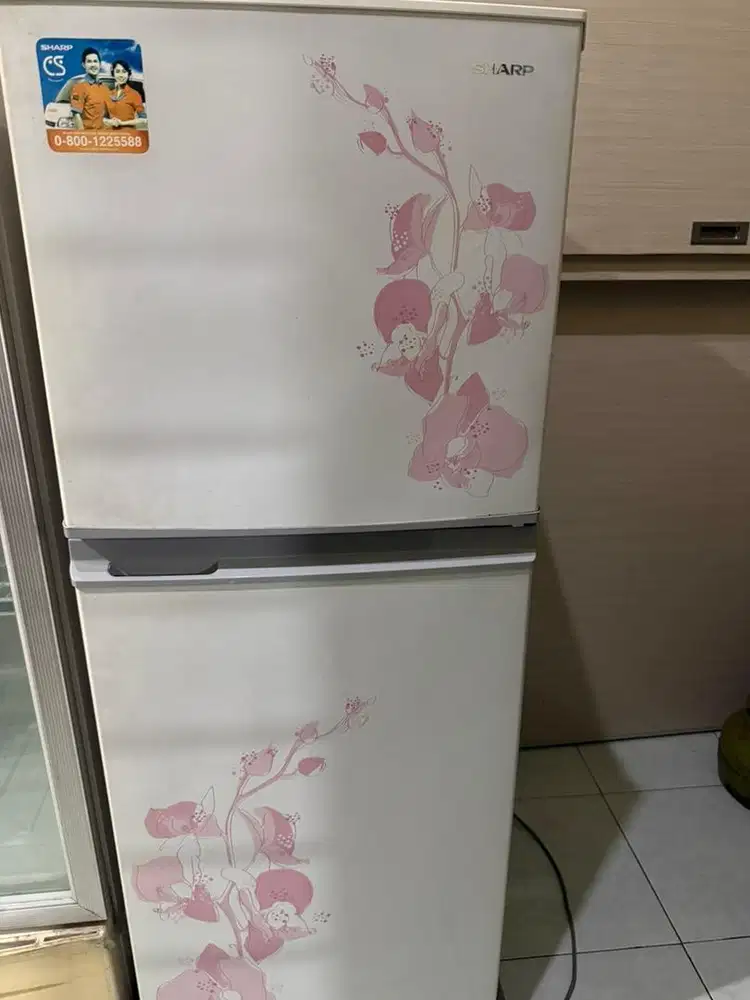 Kulkas sharp 2 pintu