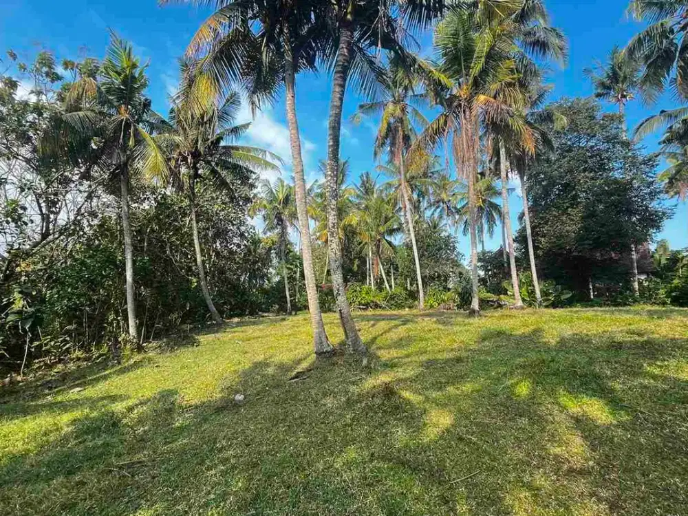 jual tanah dekat pantai pasut kawasan villa yang sedang berkembang di tabanan bali
