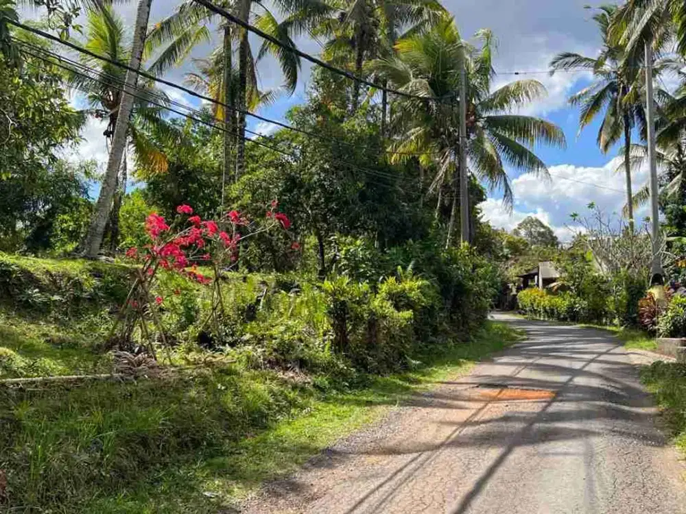 jual tanah kebun pinggir jalan aspal luasan kecil di desa wisata manikyang.
