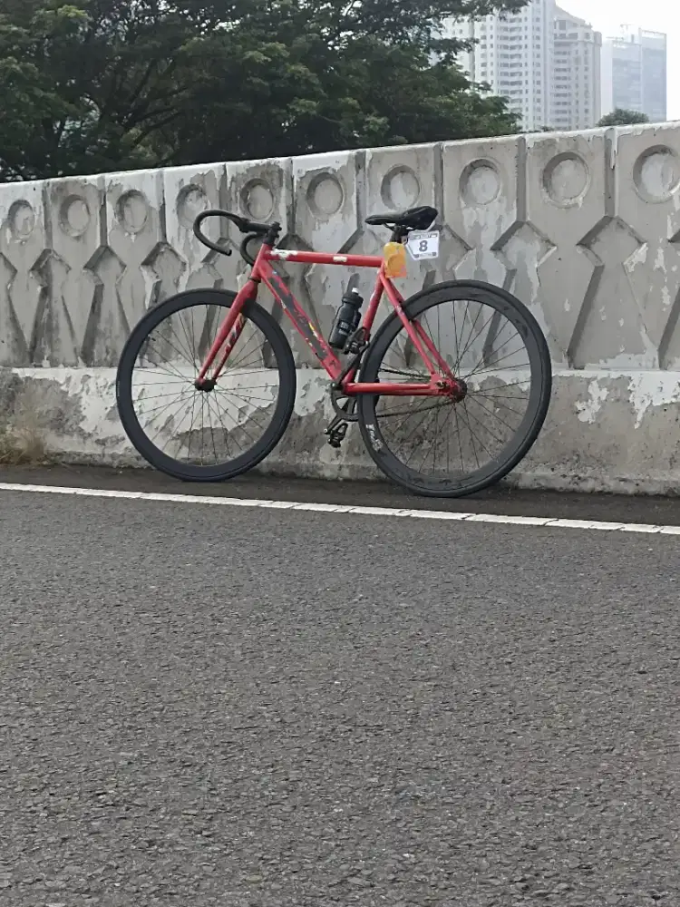 Sepeda fixgear Pandora