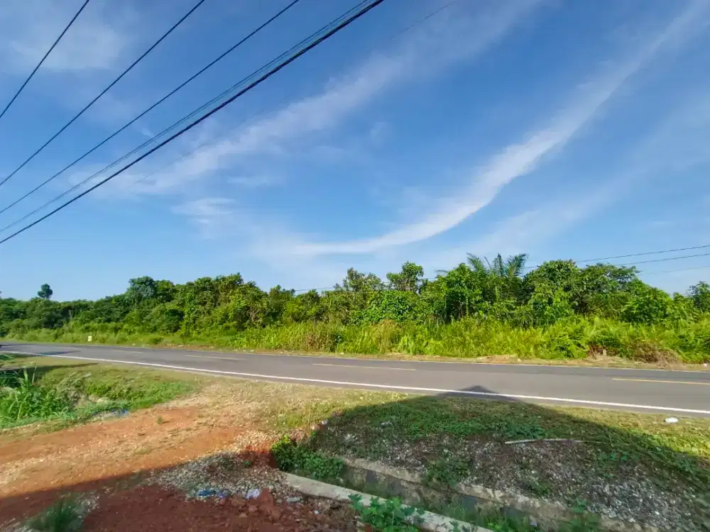 Di jual tanah tepi jalan palapulau - sibau (sebelum SPBU sibau)