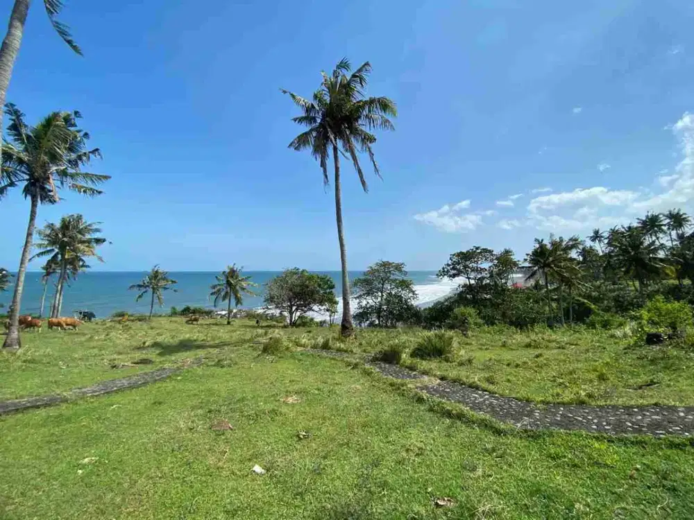 jual tanah Los tebing pantai surfing Balian tabanan bali.