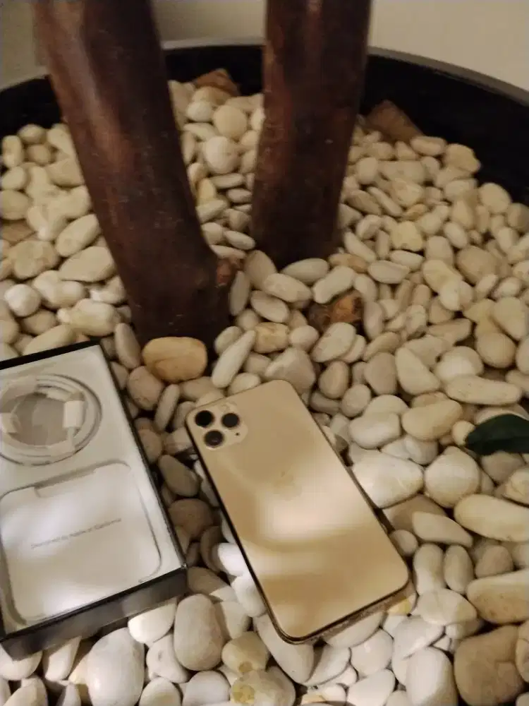 Iphone 11 pro 256gb sepeciall gan