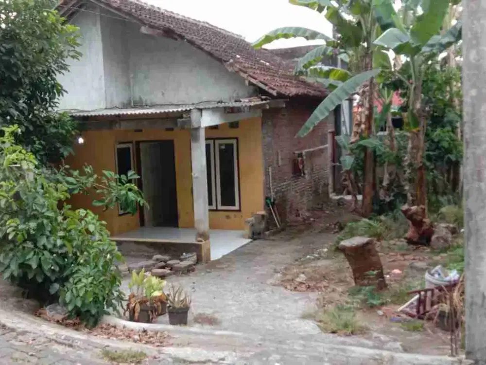 tanah murah bonus rumah kampung shm di patemon gunungpati