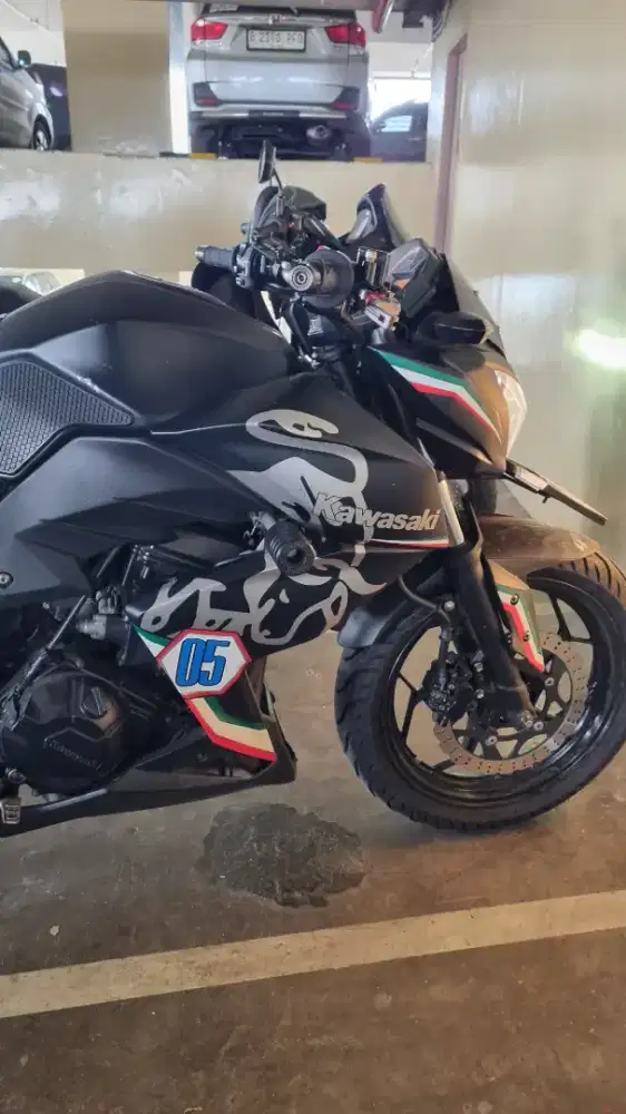 Kawasaki Z250 series mulus