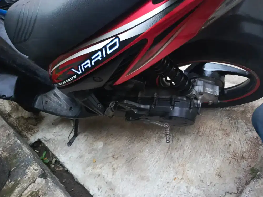 Vario lama 2008