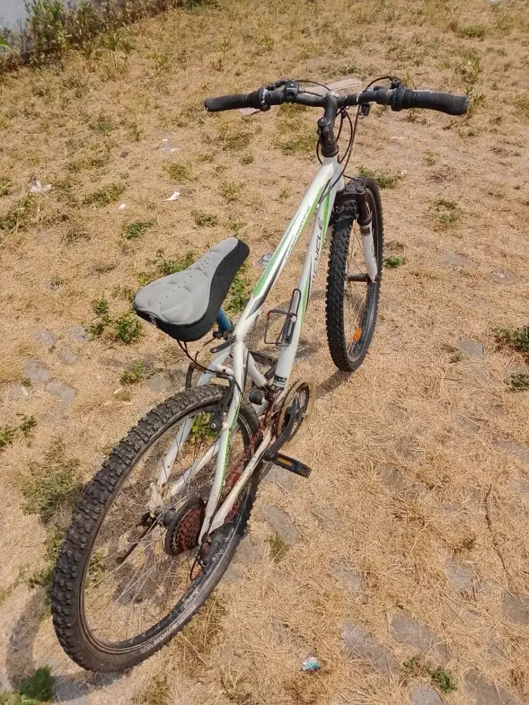 jual Wimcycle Sepeda MTB RoadChamp S 26