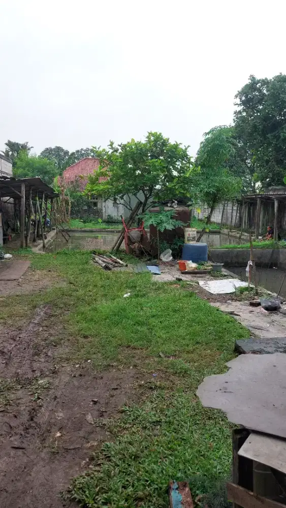 Dijual Tanah Murah Beserta Rumah Area Bogor (Terminal Laladon)