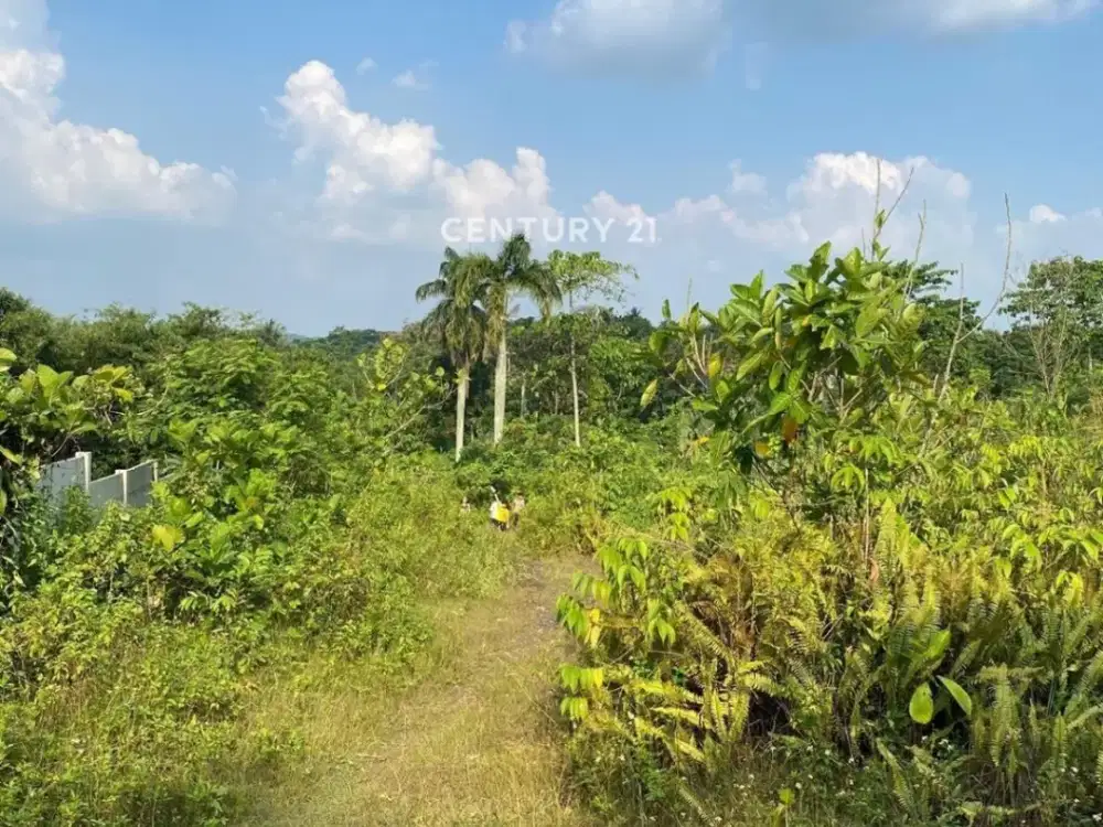 Dijual Kavling Strategis Harga Menarik Di Kelapa Nunggal Bogor